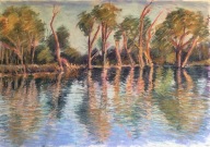 evening-on-murray-river